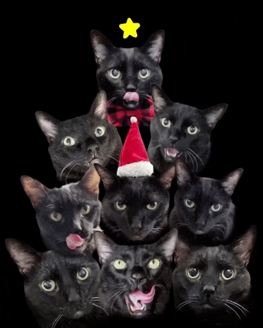 Cat Christmas Tree GIF