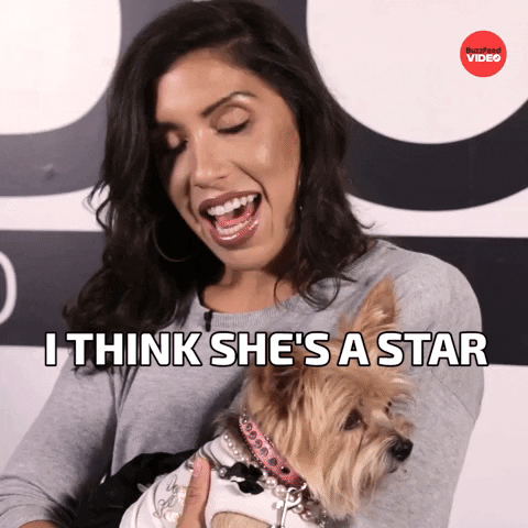 Puppies Shes A Star GIF by BuzzFeed