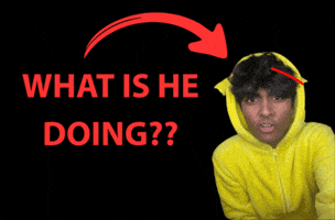Wtf GIF