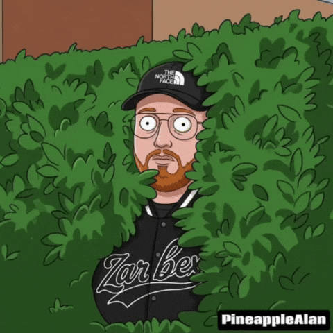 Germany GIF