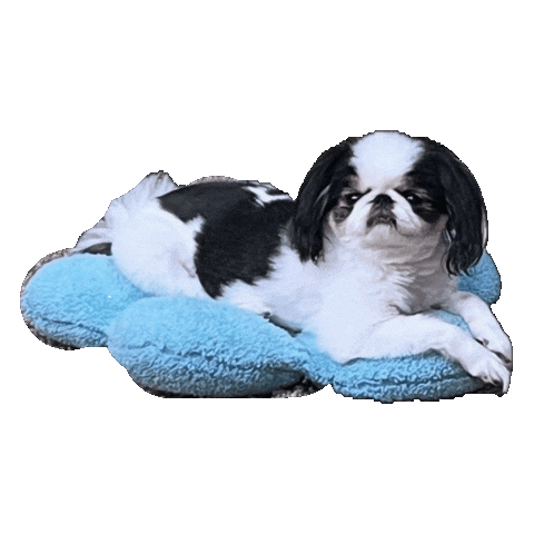 Gary Sticker by Libbie Higgins