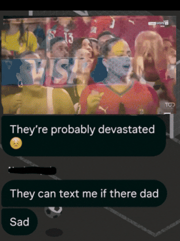 Fans Portugal GIF