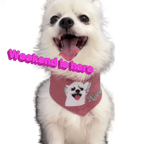 Weekend Cute Dog GIF by Romeo Mama Online Store