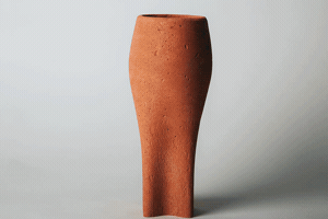 achopt GIF