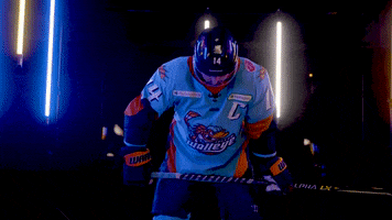 Hockey Echl GIF by Toledo Walleye