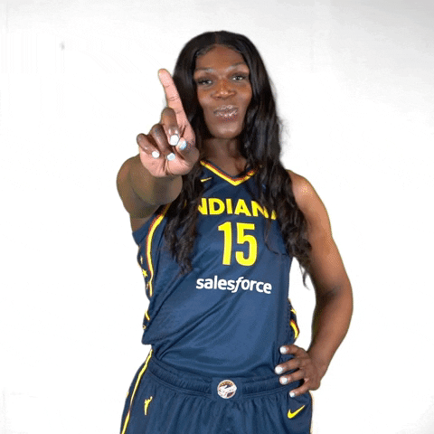 Basketball No GIF by Indiana Fever
