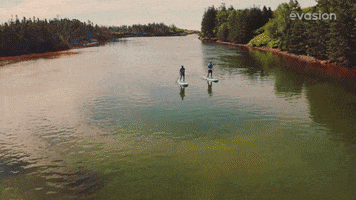 New Brunswick Canada GIF by Productions Deferlantes