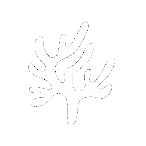 Polo Group FL Sticker