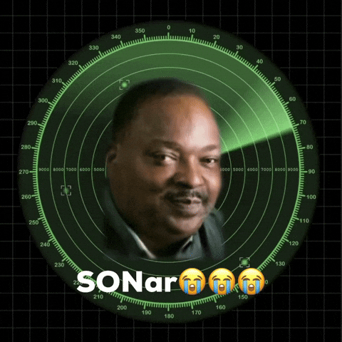 Son Sonar GIF