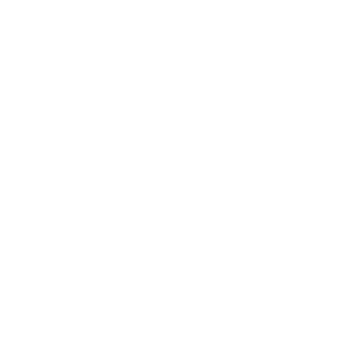 ZINPRO Sticker