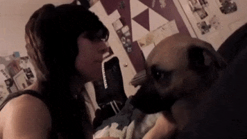Dog Slapping GIF by Christina Grimmie Foundation