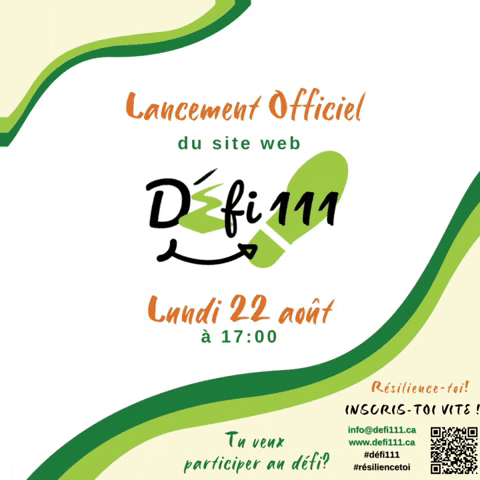 Défi 111 GIF