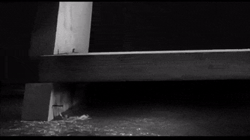 Scott En El Agua GIF