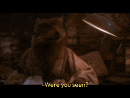 Ninja GIF