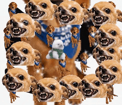 Caceta GIF