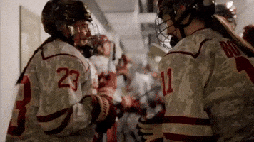 Ice Hockey GIF by Norwich University