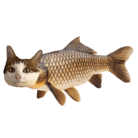 Fish Bao Bao GIF