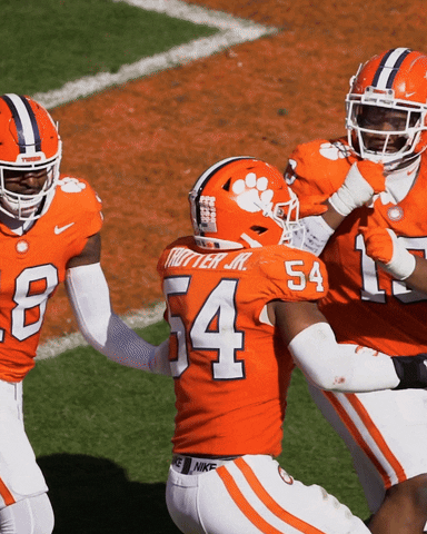 Death Valley Football GIF by Clemson Tigers