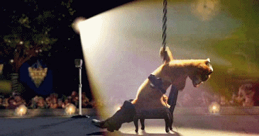 giphy.gif?cid=19f5b51a5d4450c66c58724a6b