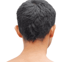 Artist Flowers Sticker