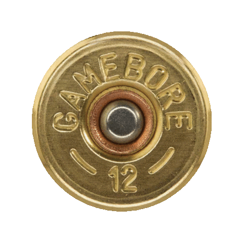 Source: gamebore