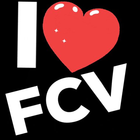 Fcv GIF by Folbener Carnevals Verein