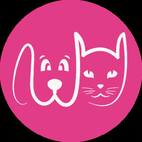 Cats Dogs GIF by Grooming Paws&All