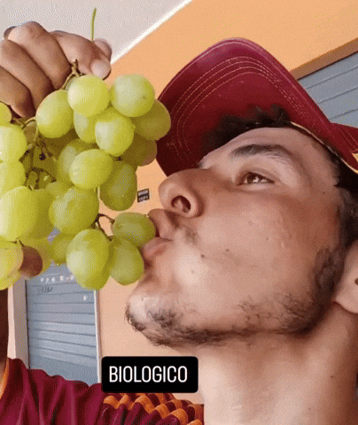 Biologico Syma GIF
