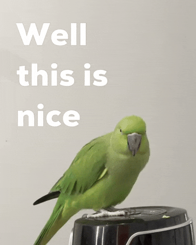 Happy Pleasantly Surprised GIF