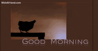 Good Morning GIF by wishafriend Good Morning GIF by wishafriend