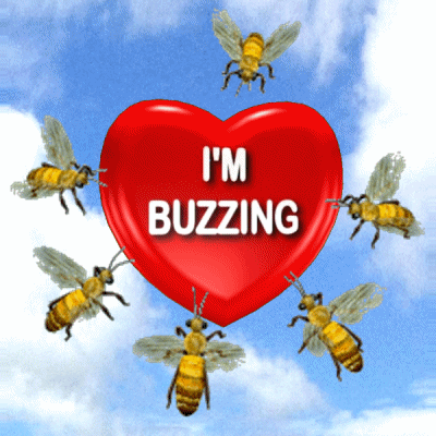 Im Happy Honey Bees GIF