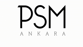 Psm Ankara GIF