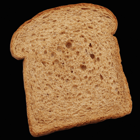 ToastBeer toast ipa bcorp session ipa GIF