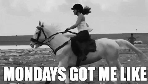 Fallingoffhorse GIFs - Get the best GIF on GIPHY