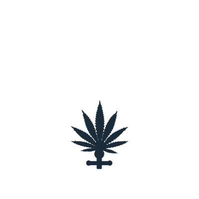 Canna Cruise Sticker