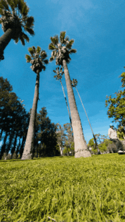 Sacramento Tfl GIF by The Float Life