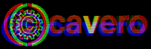 Cavero logo consultancy rijswijk cavero GIF