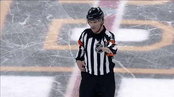 Nhl GIF