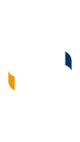 simplifique Sticker