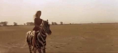 Sheena She GIFs - Get the best GIF on GIPHY