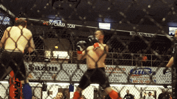 Beat Down Lets Go GIF by New Line Cagefighting