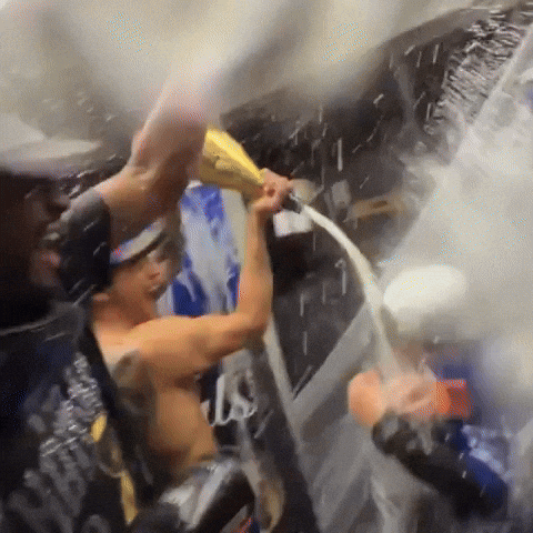 Timothee Chalamet Champagne GIF
