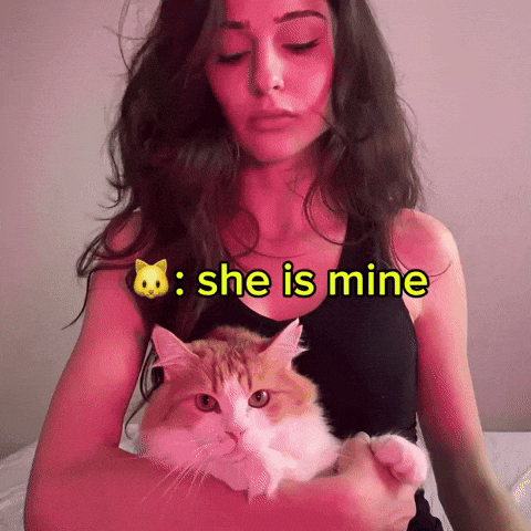 She Is Mine Girl With Cat GIF
