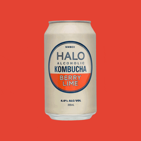 GIF by Halo Alcoholic Kombucha