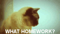 friend homework GIF