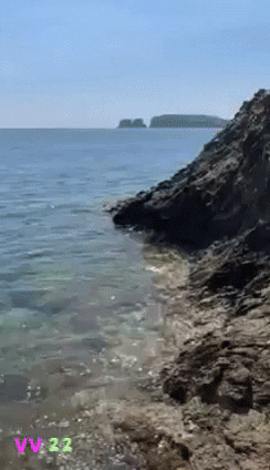 22 GIF
