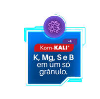 Korn Kali Sticker by KS Brasileira