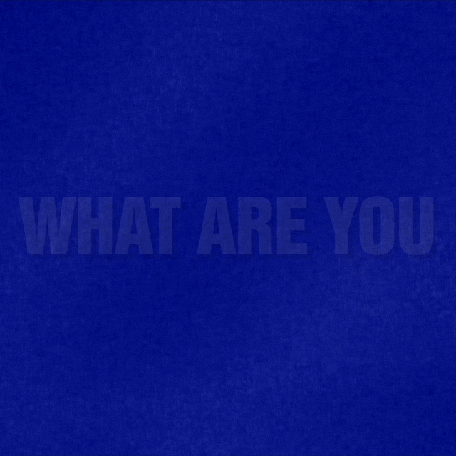 Scared What Are You Afraid Of GIF by Jeopardy!
