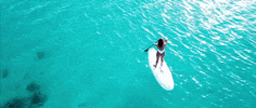 Summer Time Surfing GIF by DEEPSYSTEM