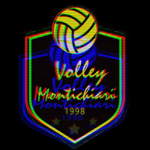 Volley Montichiari GIF